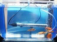 LL Boerse Juni 22 Bild 8