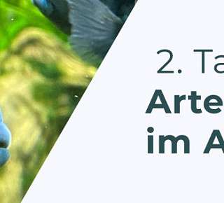 193 9c09a9544ca1b0b4a7d3dbbdfe428449a19f2105