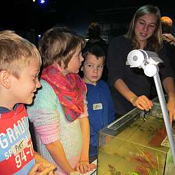 Drei Kinder beobachten eine Frau, die ihnen ein Aquarium mit Wasserpflanzen zeigt