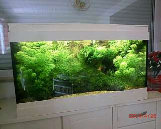 Boersenraum klein