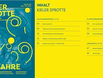 Vorschau Sprotte 107