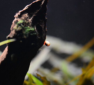 Slider KAF LisaLenkersdorf 02