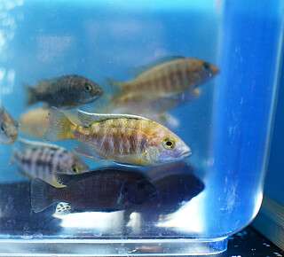 Hintergrund Web Boerse 23