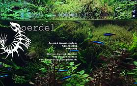 Joerdel Web v6