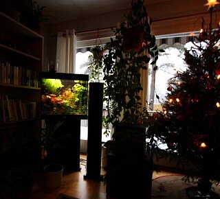 Slider KAF LisaLenkersdorf 12